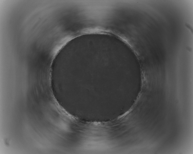 X0000099961463200806061554