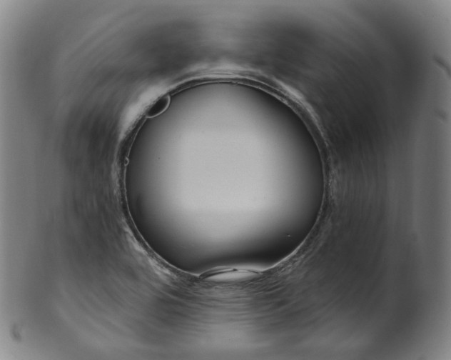 X0000099961464200806061554