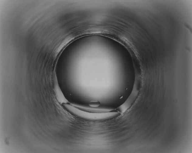 X0000099961465200806061554