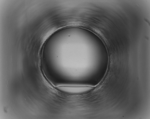 X0000099961467200806061554