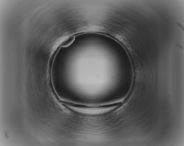 X0000099961469200806061554