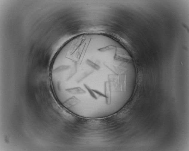 X0000099961470200806061554