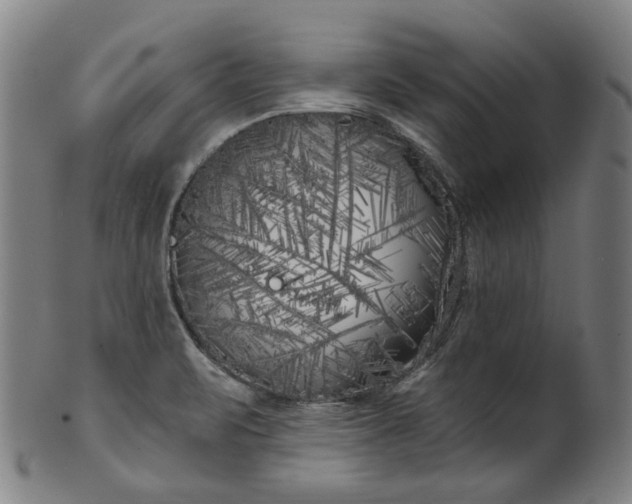 X0000099961471200806061554