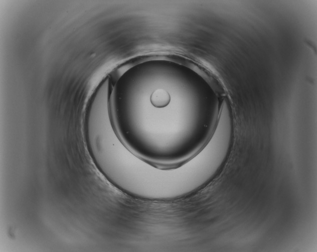 X0000099961472200806061554