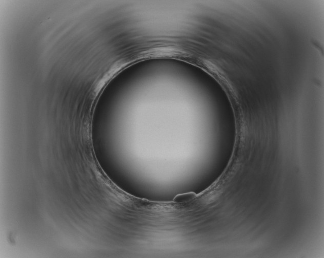 X0000099961473200806061554