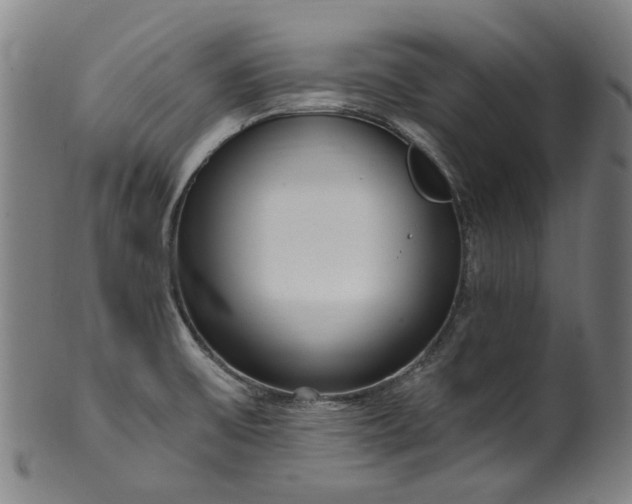 X0000099961475200806061554