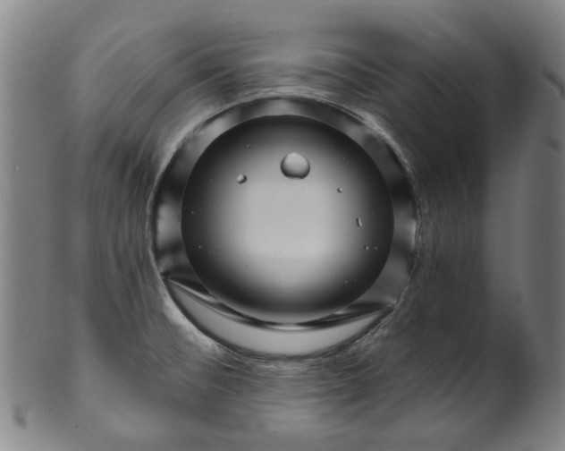 X0000099961476200806061554