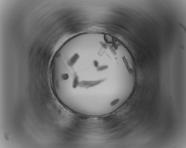 X0000099961478200806061554