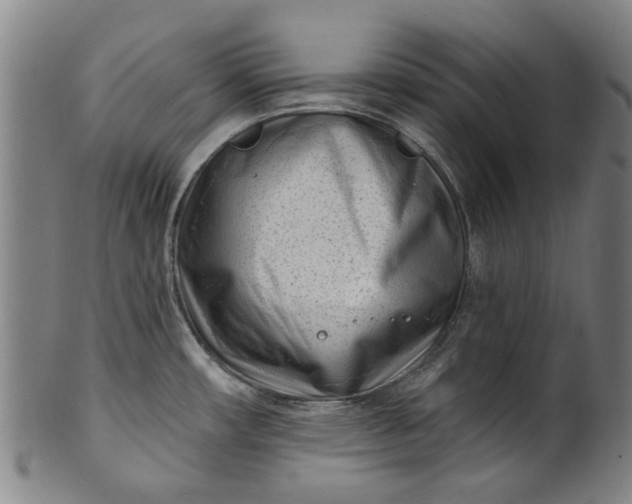 X0000099961482200806061554