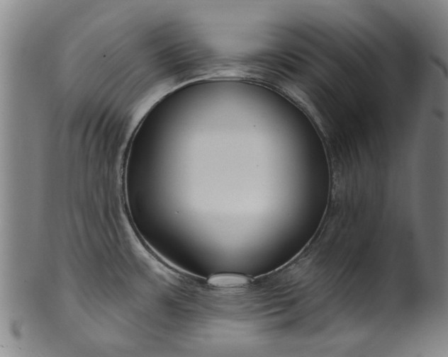 X0000099961483200806061554