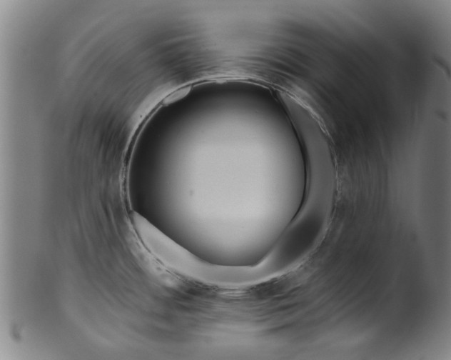 X0000099961484200806061554