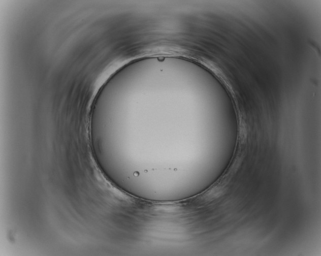 X0000099961486200806061554