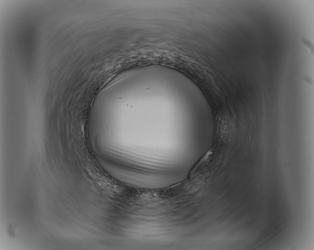 X0000099961489200806061553
