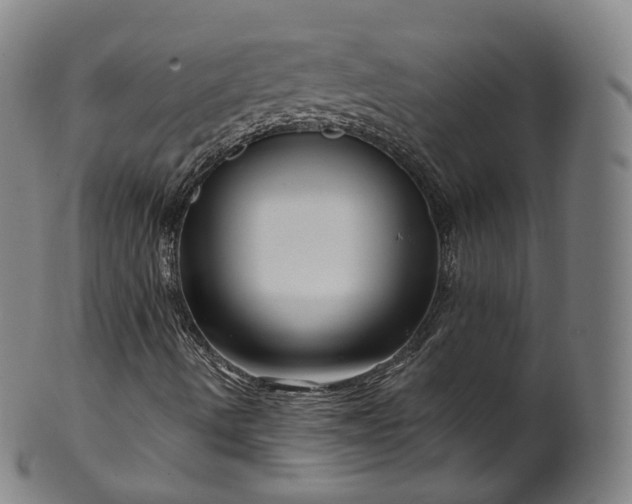 X0000099961490200806061553
