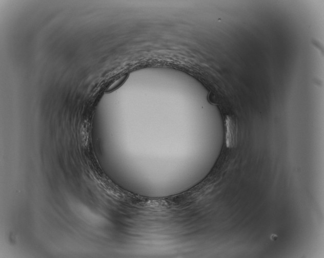 X0000099961491200806061553