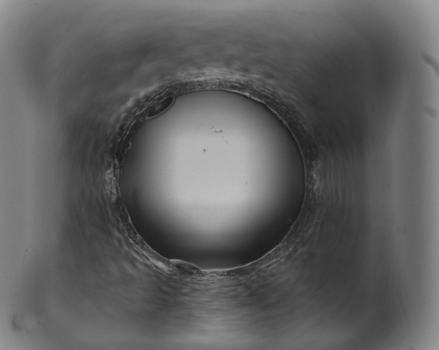 X0000099961493200806061553