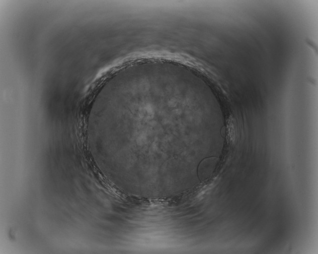 X0000099961494200806061553