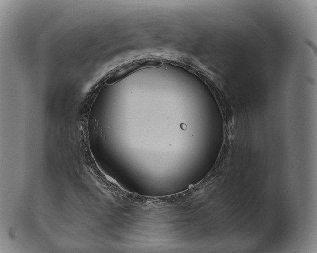 X0000099961496200806061553