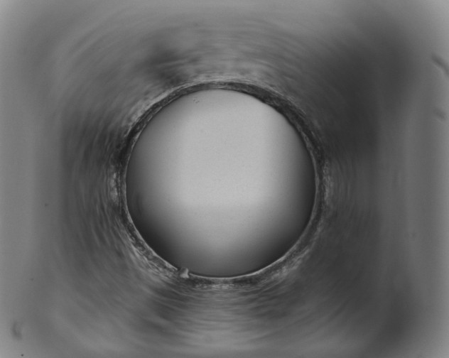 X0000099961497200806061553