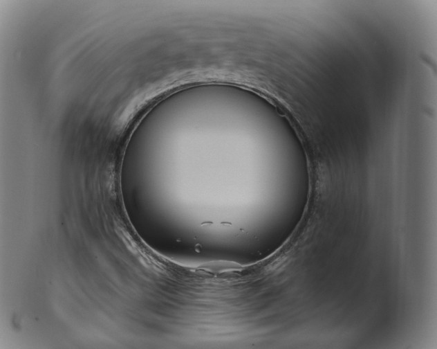 X0000099961499200806061553