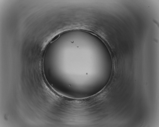 X0000099961500200806061553