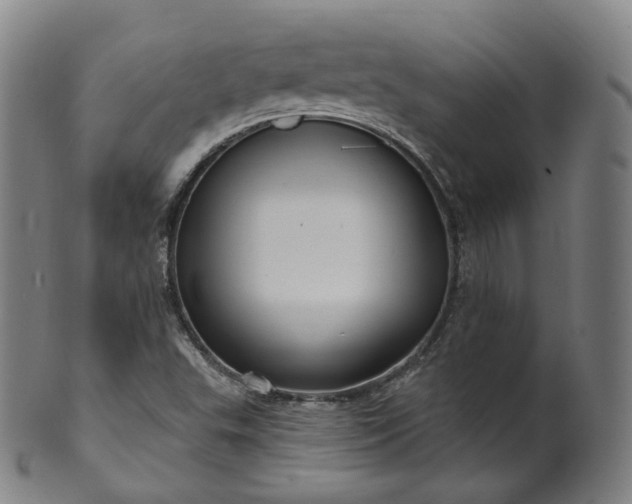 X0000099961503200806061554