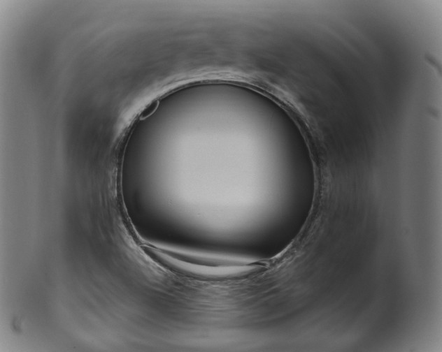 X0000099961504200806061554