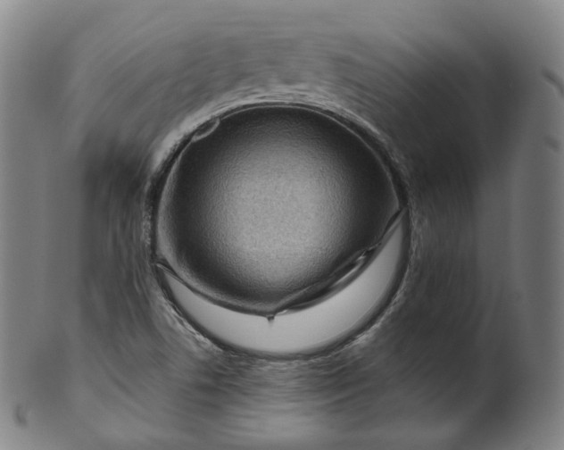 X0000099961506200806061554