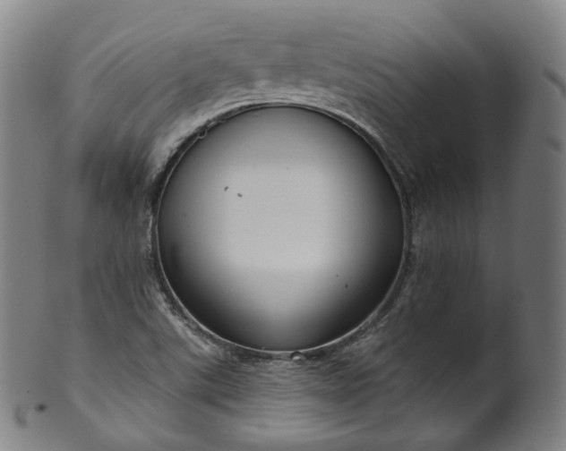 X0000099961507200806061554