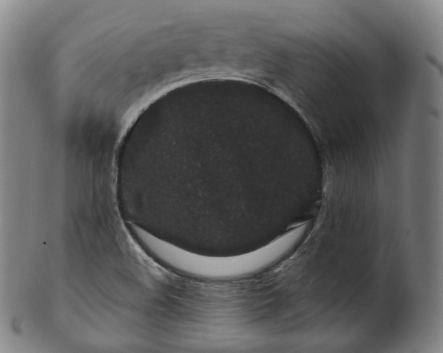 X0000099961508200806061554