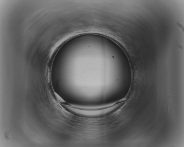 X0000099961510200806061554