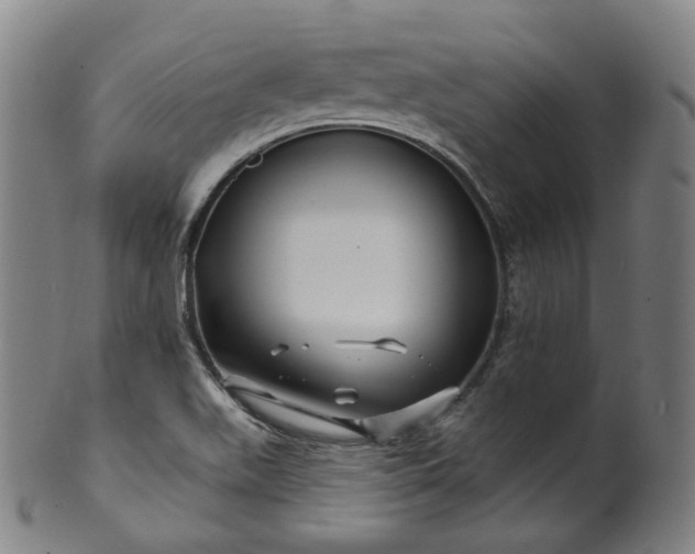 X0000099961511200806061554
