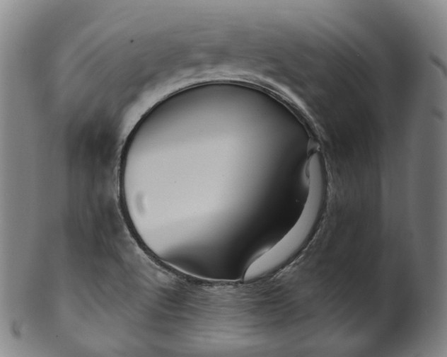 X0000099961512200806061554