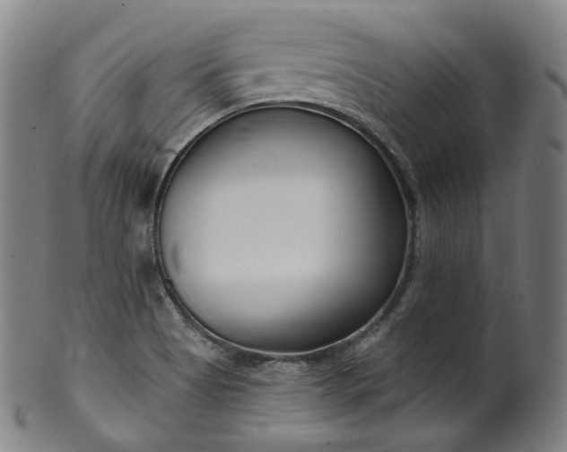 X0000099961513200806061554