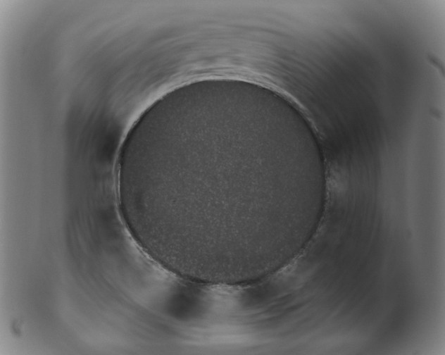 X0000099961514200806061554