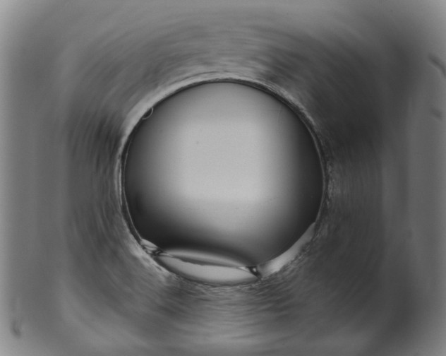 X0000099961516200806061554