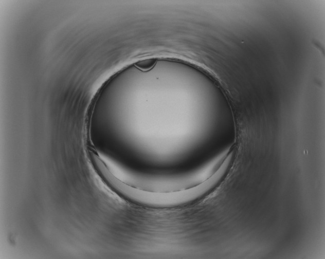 X0000099961518200806061554