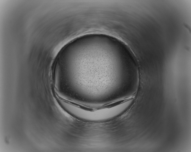 X0000099961519200806061554