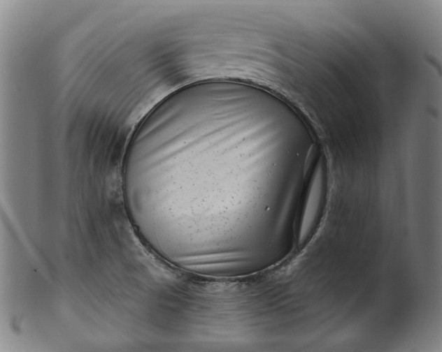 X0000099961521200806061554