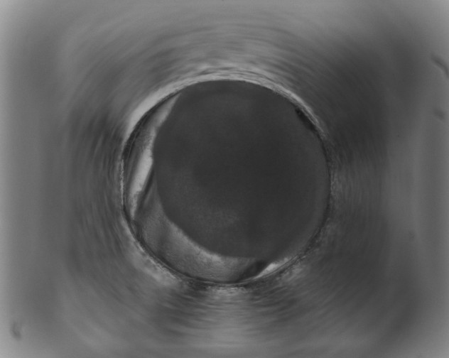 X0000099961522200806061554