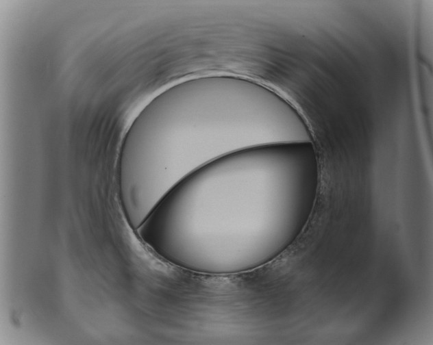 X0000099961524200806061554