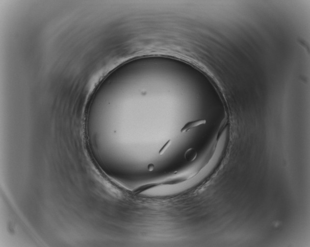 X0000099961525200806061554