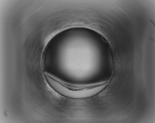 X0000099961527200806061554