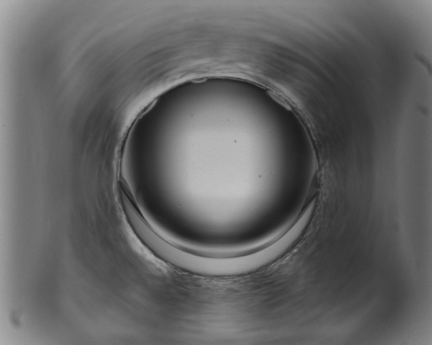 X0000099961528200806061554