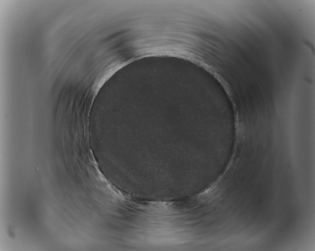 X0000099961529200806061554