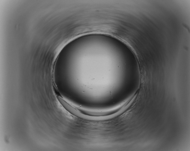 X0000099961532200806061554