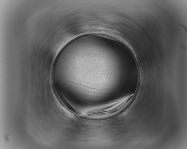 X0000099961533200806061554