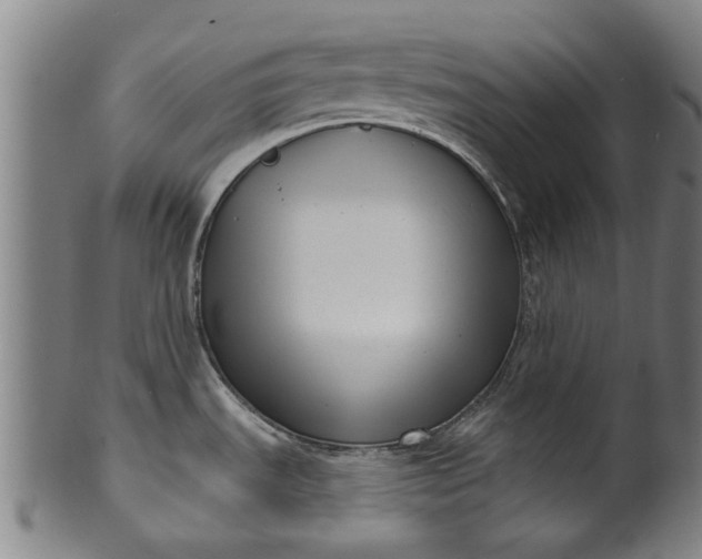 X0000099961535200806061554