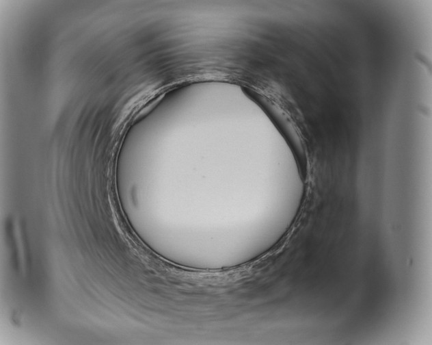 X0000099960001200806131520