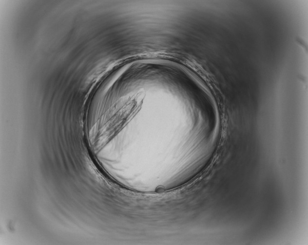 X0000099960002200806131520